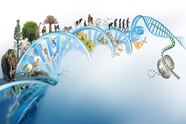 Genomics And Genetic Sequencing